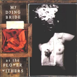 As the Flower Withers album cover