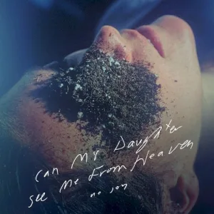 Can My Daughter See Me From Heaven album cover