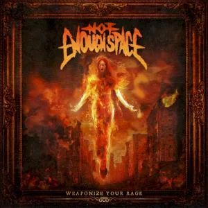 Weaponize Your Rage album cover