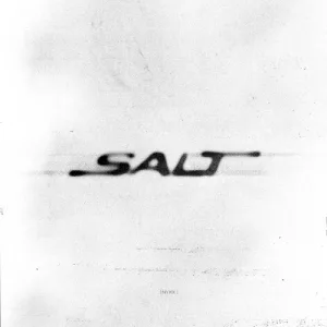 Nyxx – salt album cover