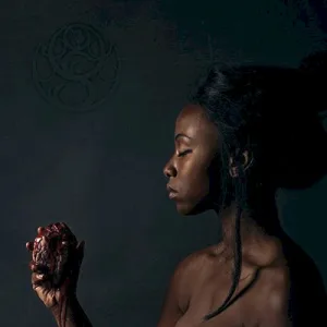 The Banished Heart album cover