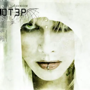 The Ascension album cover