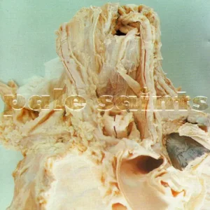 Pale Saints – In Ribbons album cover