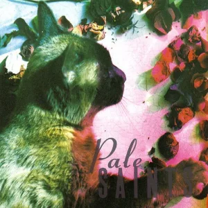 Pale Saints – The Comforts of Madness album cover