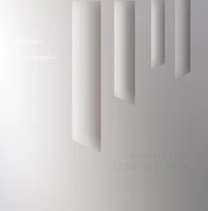 Paranoid Void – Literary Math album cover