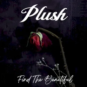 Plush – Find the Beautiful album cover