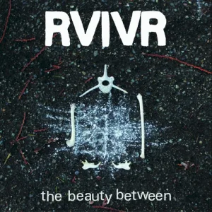 The Beauty Between album cover