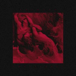 Dénouement album cover