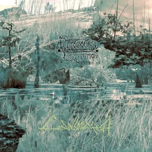 Cainsmarsh album cover