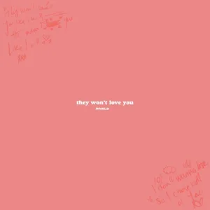 They Won’t Love You album cover