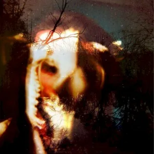 Ruby the Hatchet album cover