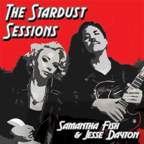 The Stardust Sessions background