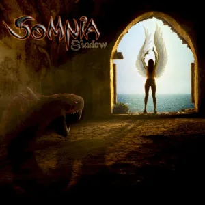Shadow album cover