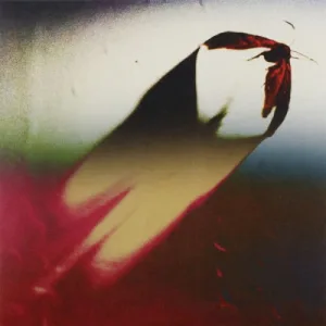 Are We All Angels album cover