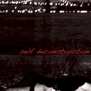 Self Deconstruction album cover