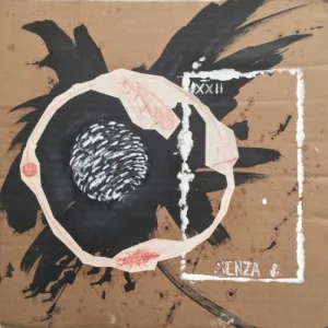 Senza // Akira 2017 album cover