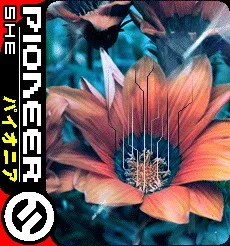 Pioneer album cover