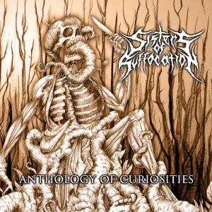 Anthology of Curiosities album cover