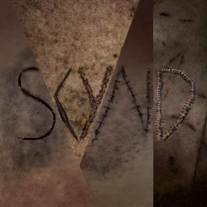 Chapter II album cover
