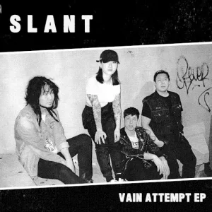 Vain Attempt album cover