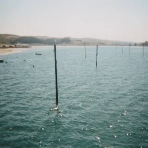 Nothing Happens Here album cover