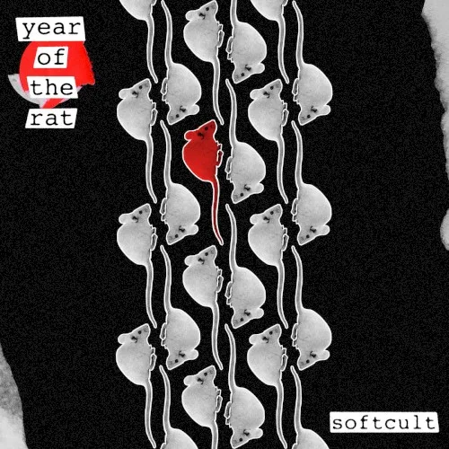 Year of the Rat background