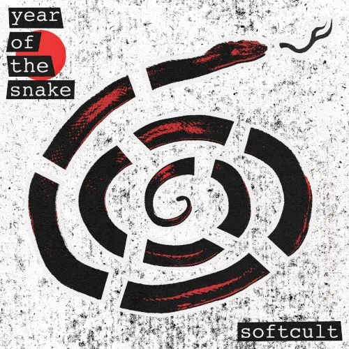 Year of the Snake background