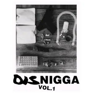 DisNigga Vol. 1 album cover