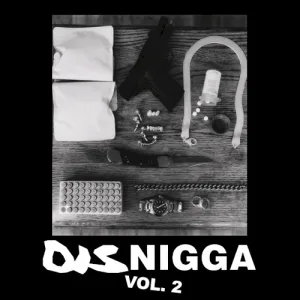 DisNigga, Vol. 2 album cover
