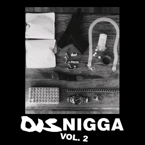 DisNigga, Vol. 2 background