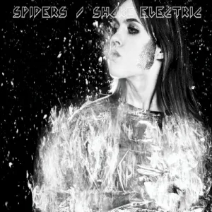 Shake Electric album cover