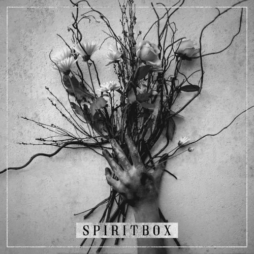 Spiritbox background