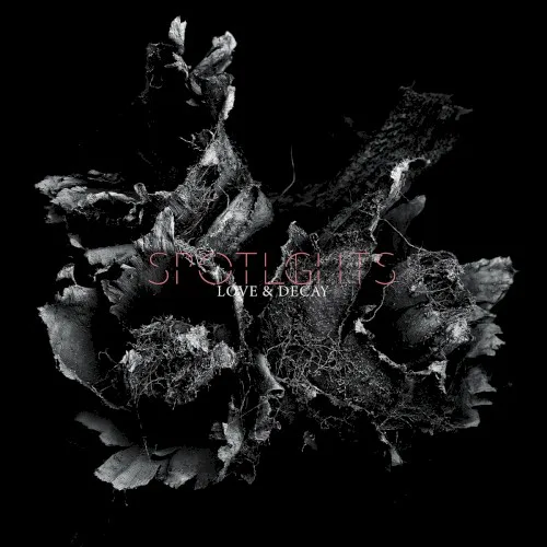 Love & Decay background