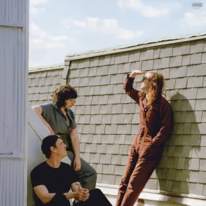 Fall Into the Sun album cover