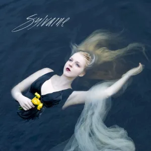 Silent Chamber, Noisy Heart album cover