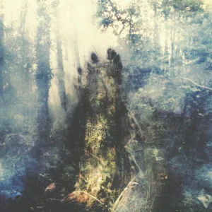 Wistful album cover