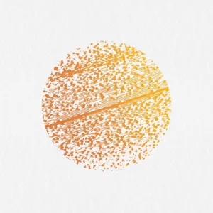 Beautiful Distortion album cover