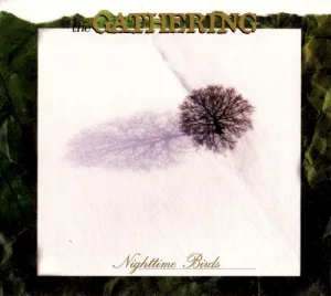 Nighttime Birds album cover