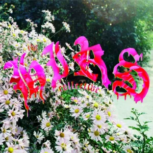 Friends. Lovers. Favorites. album cover