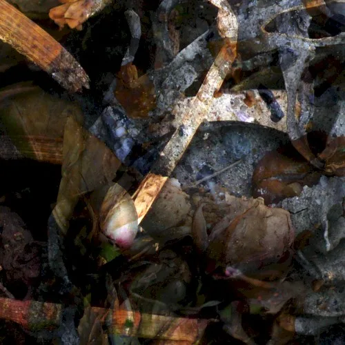 A Hollow Full of Hope background