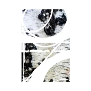 En no Ozunu album cover