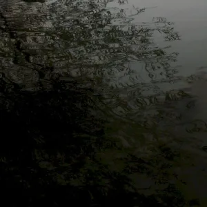 Vessels Into White Tides album cover