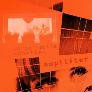 Amplifier album cover