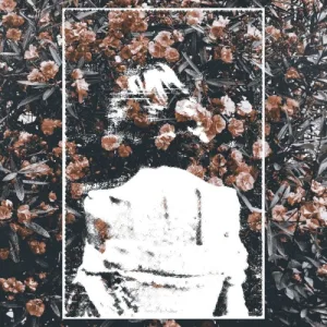 Armywives / To Be Gentle / Alas / Mirin Bide album cover