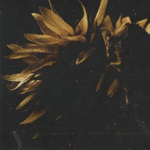 Endless Circles / Pathways To Emotional Arrest album cover