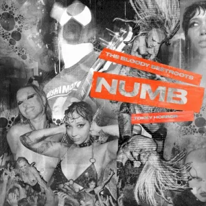 NUMB album cover