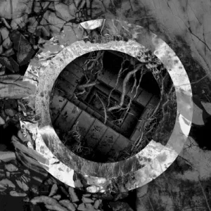 Rhetoric of the Image album cover