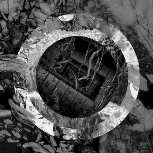 Rhetoric of the Image background