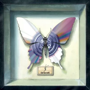 3 album cover
