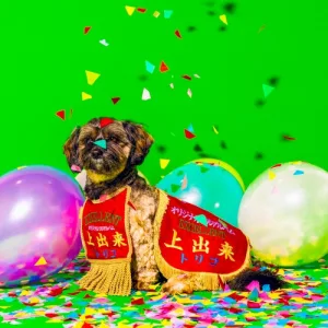 上出来 album cover